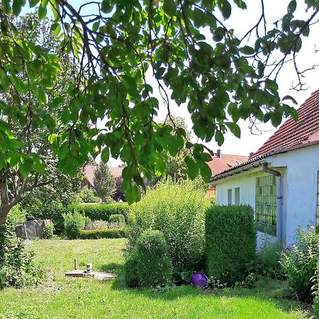 Tierfreundliche Ferienhaeuser Qual Qualzow Buitenkant foto